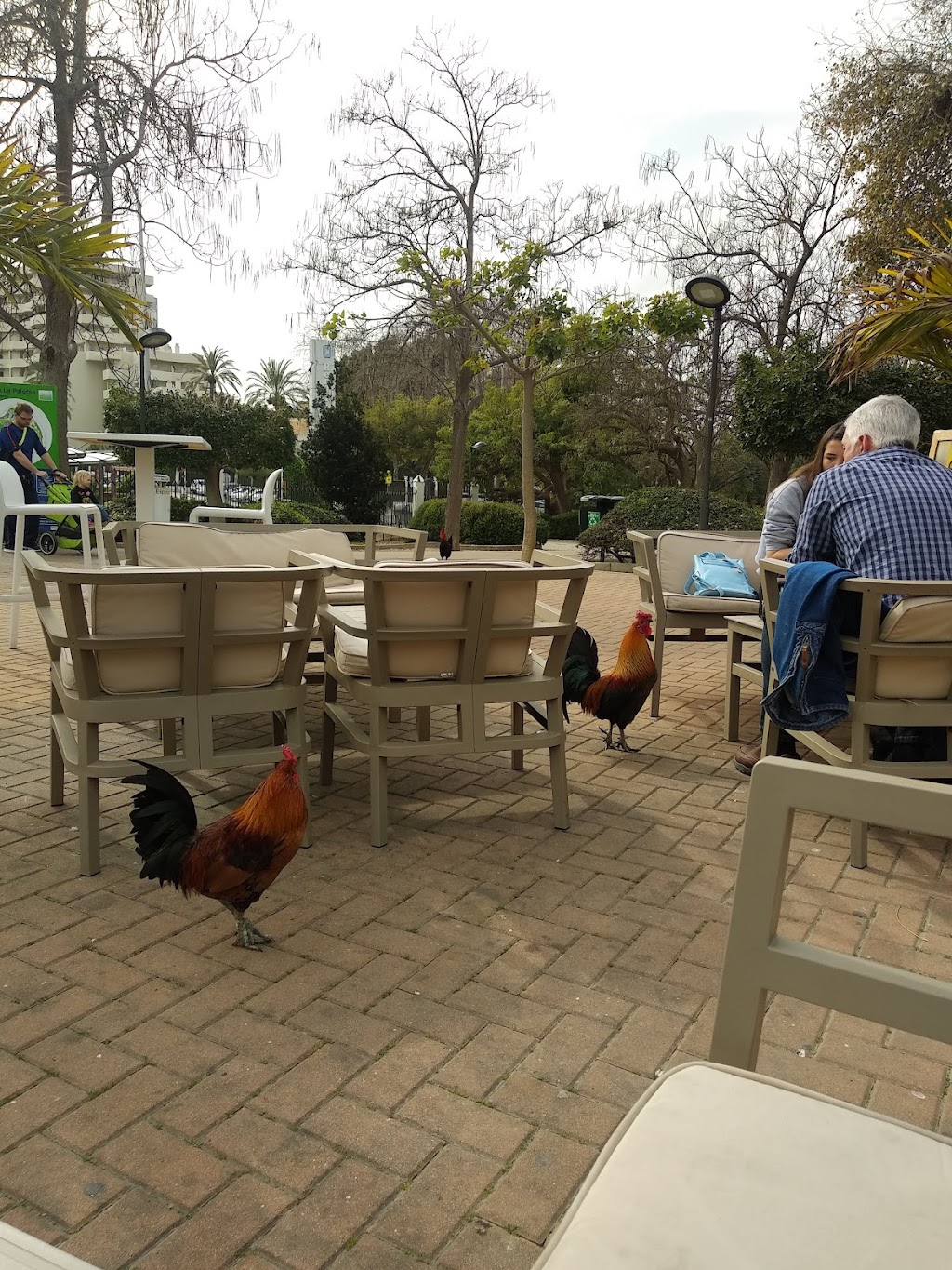 Café Bar Europa