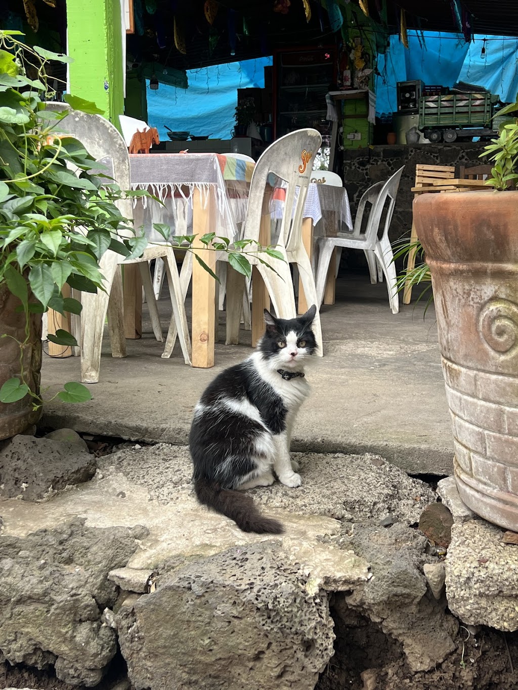 Pozoleria y Mezcaleria, Tepoztlan