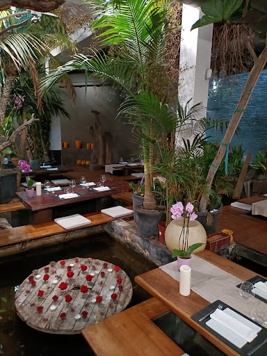 Indochine Ly Leap