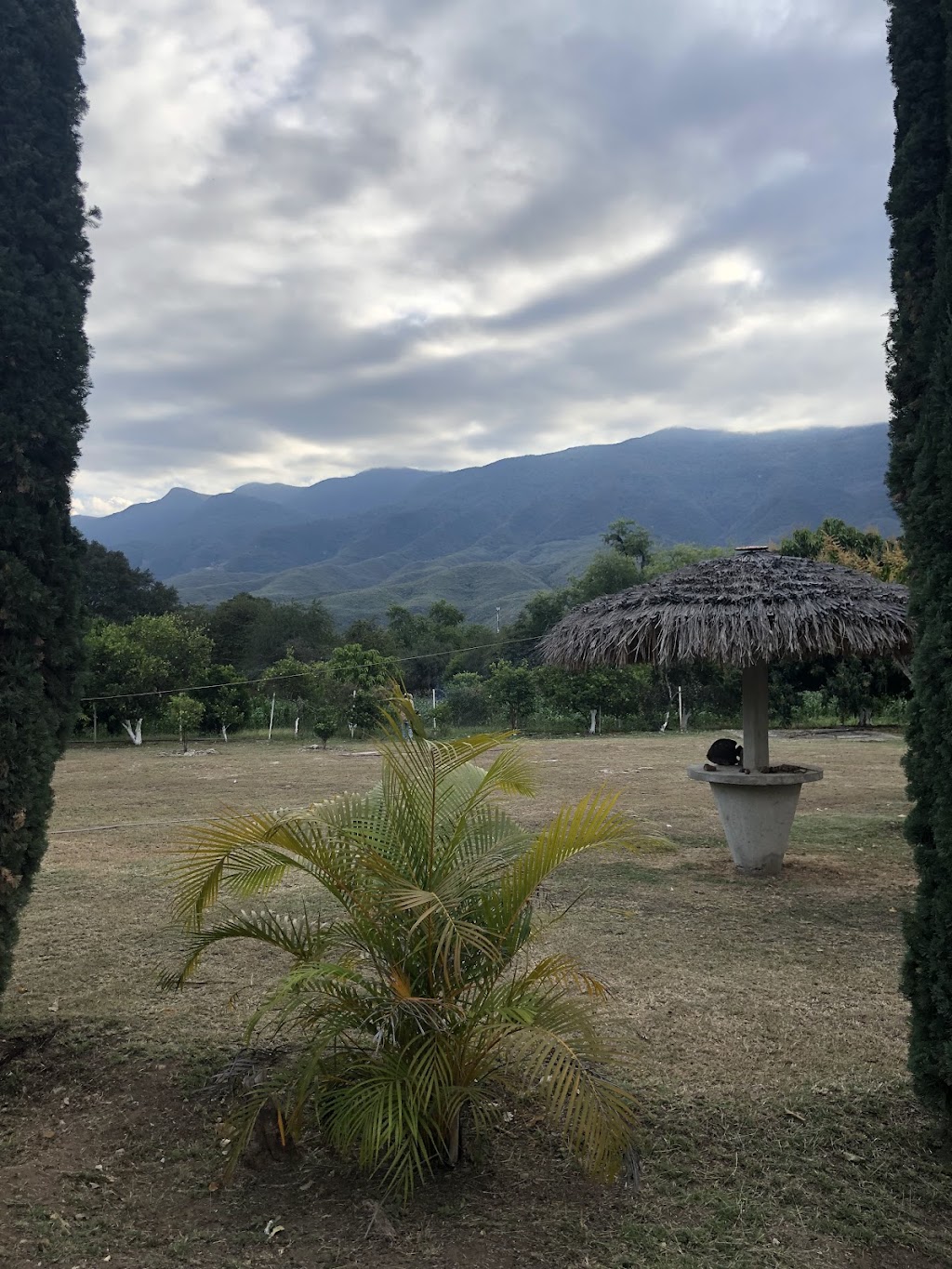 Restaurant Bar "La Palapa", Arroyo Seco