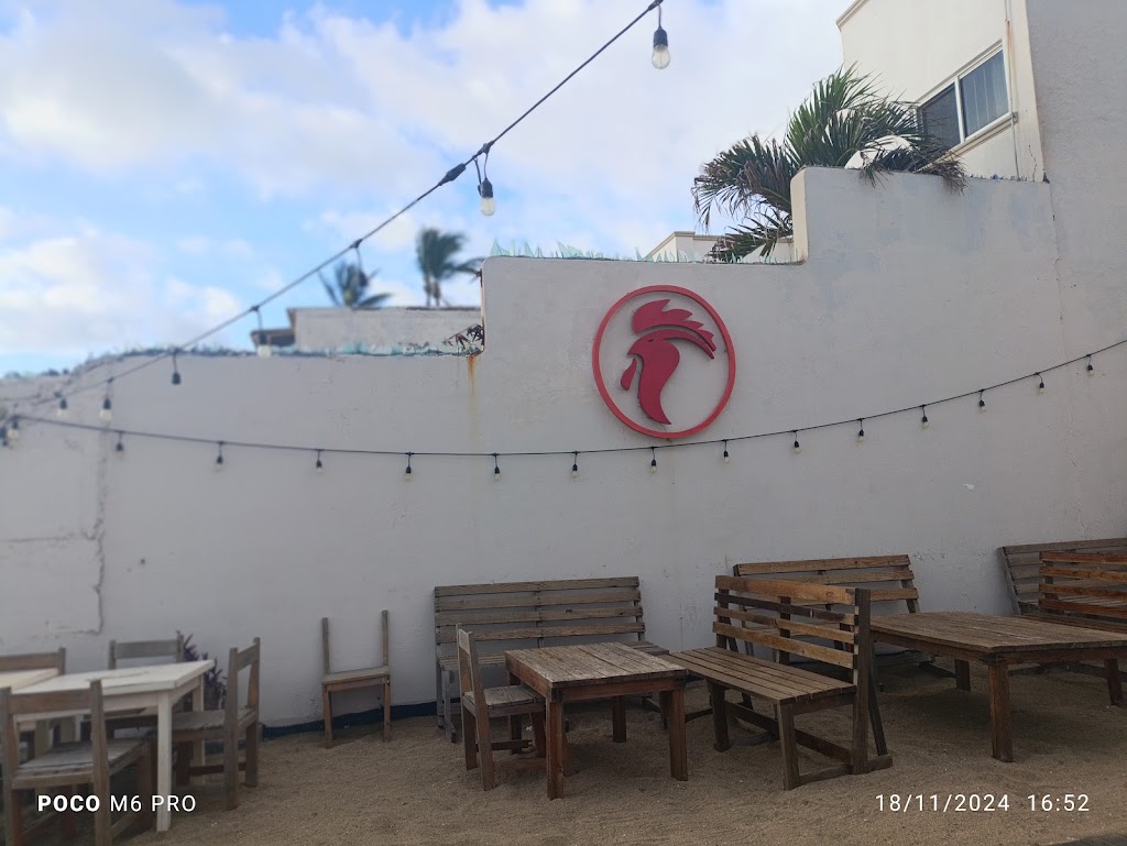 Gallo Cervecero