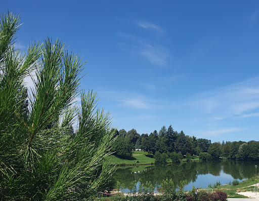 Restaurant du Lac