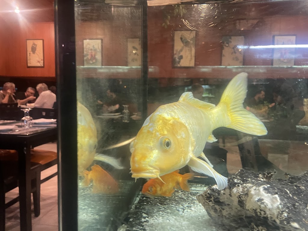 Ling Yun Restaurante