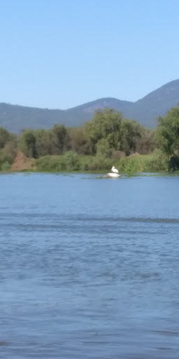 La Burreria