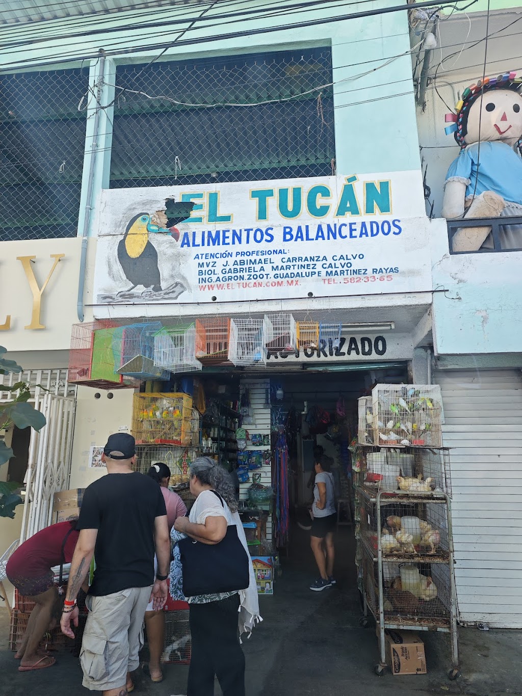 Las Palmas, Puerto Escondido