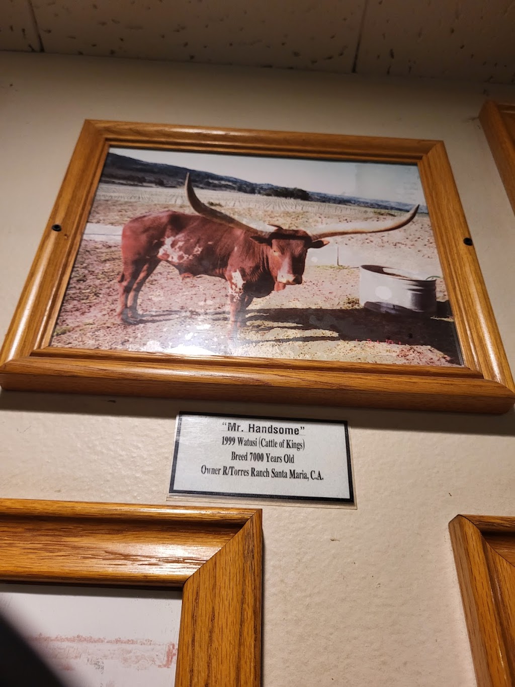 Pappy's