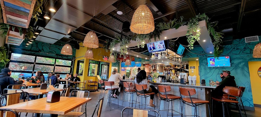 Avotaco, Bayside, NY