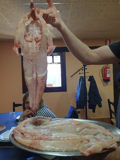 Udala, Arrasate / Mondragón