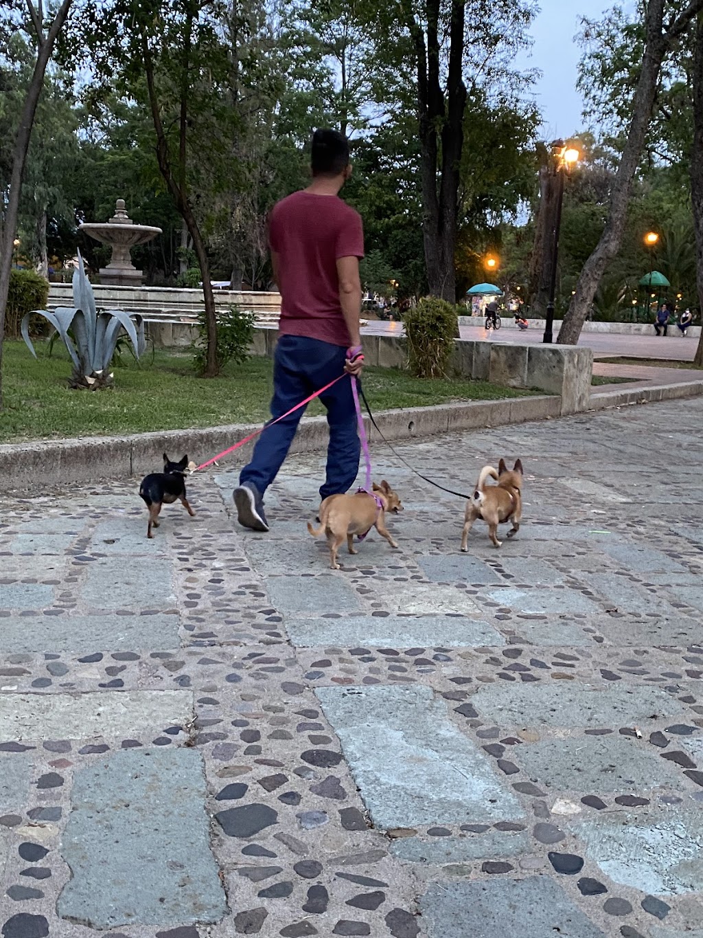 Oaxaca - La Soledad