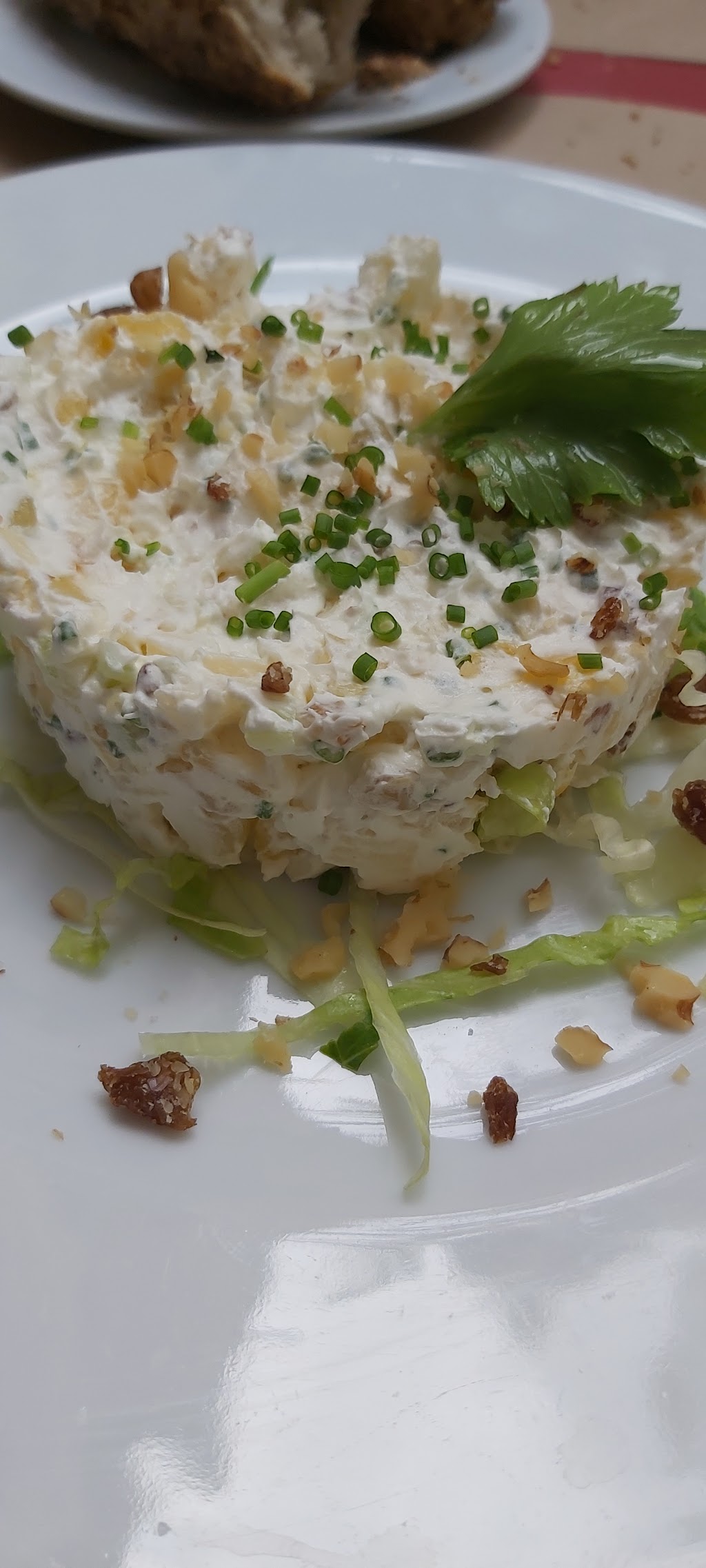 L'encant vegetarià