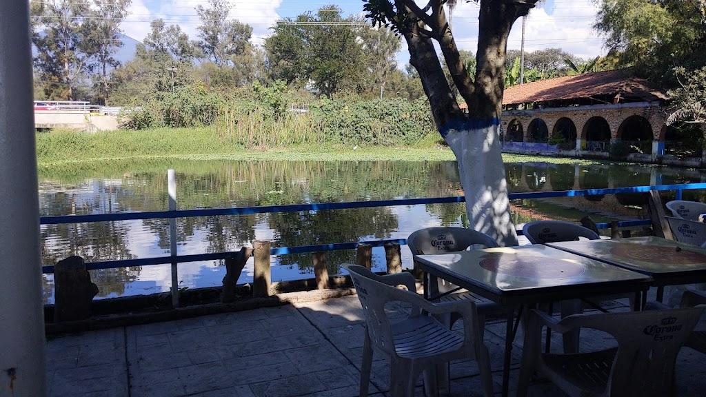 Cazuelas Grill Teuchitlán, Teuchitlán