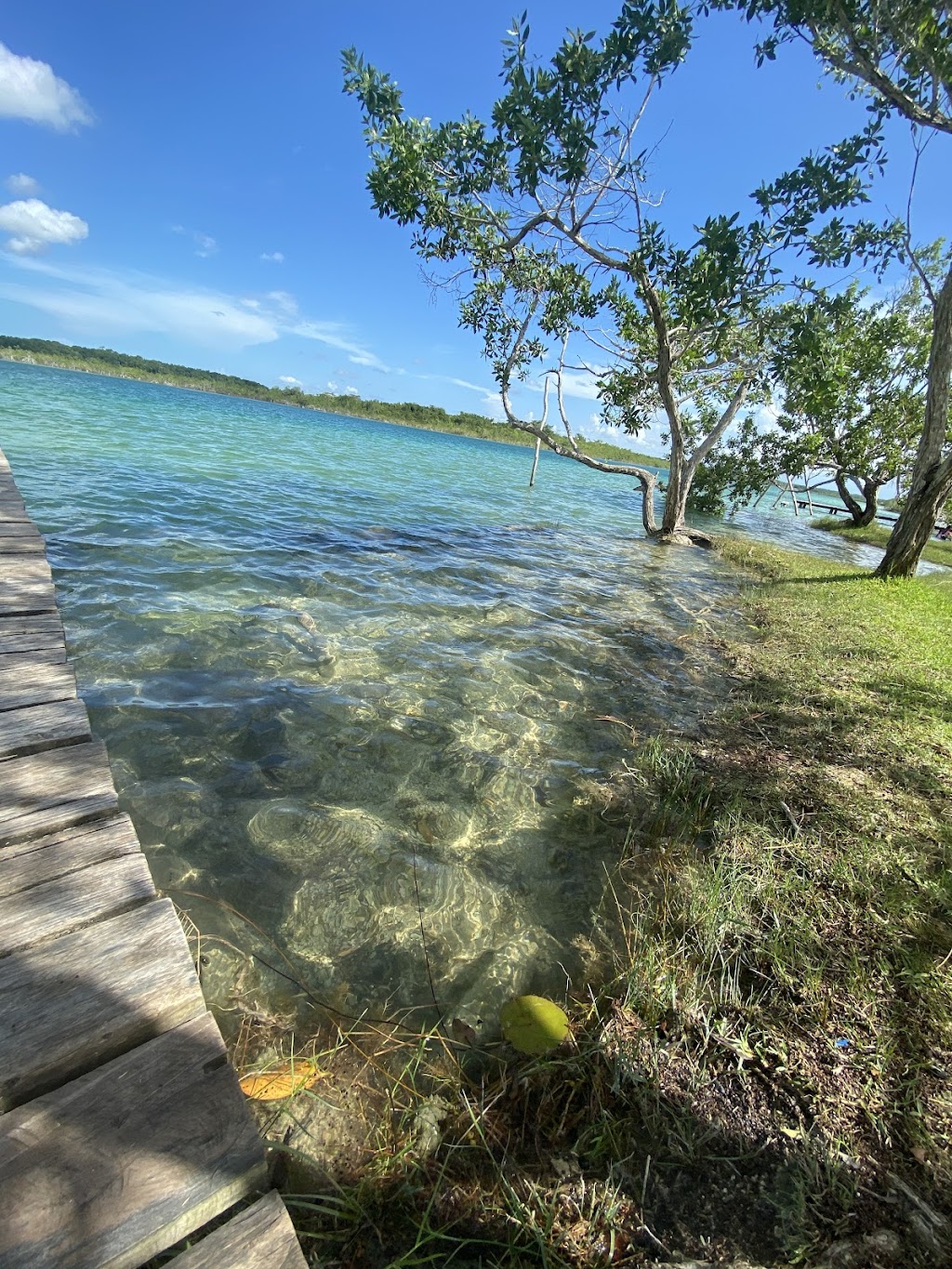 Encanto Bacalar