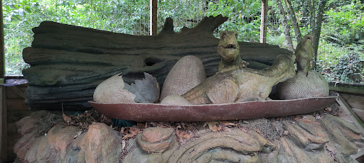 El Karpin