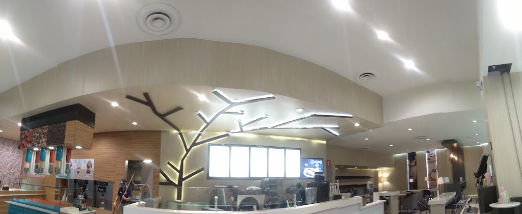 Coffee Tree