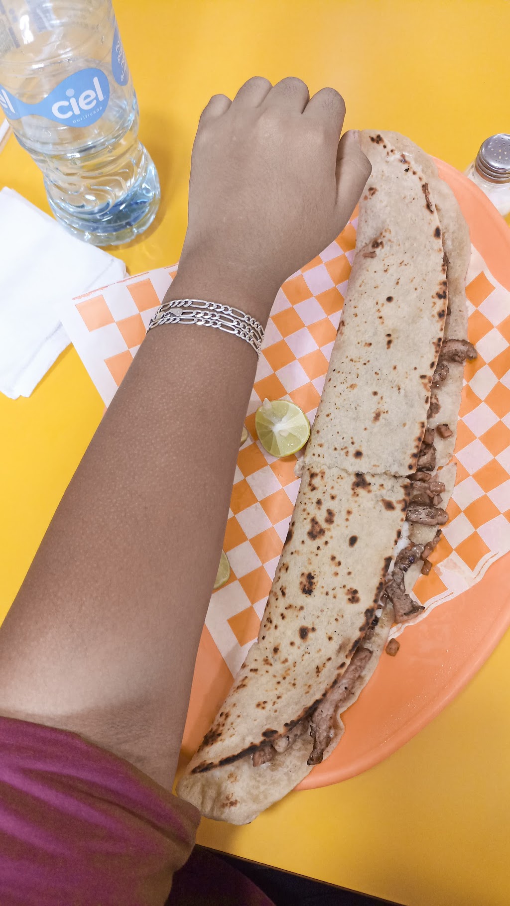 Wensabi Quesadillas Gigantes