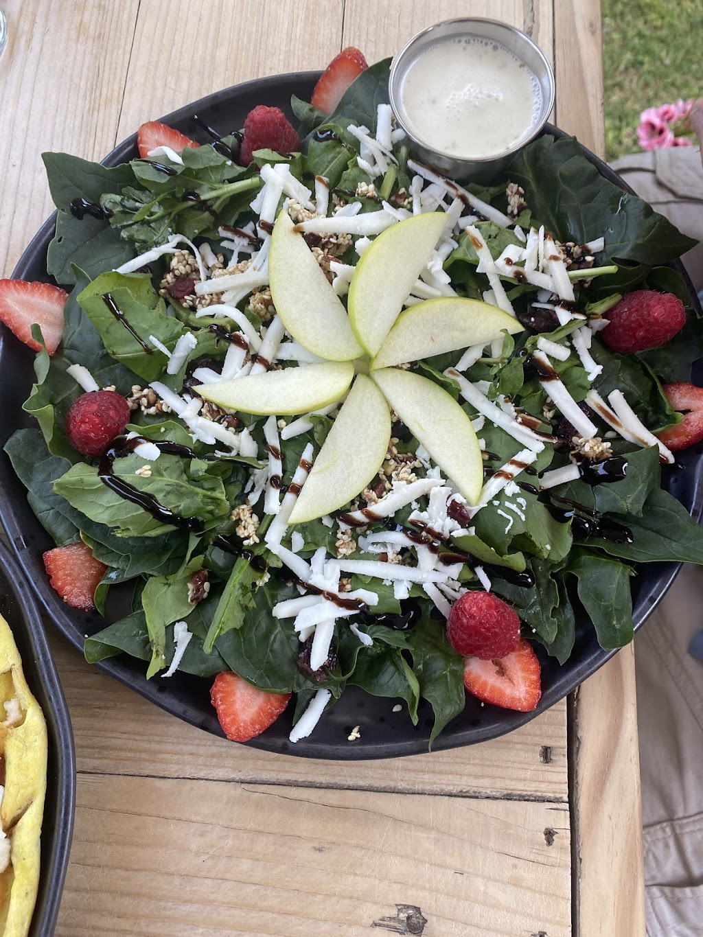 Vegan Town