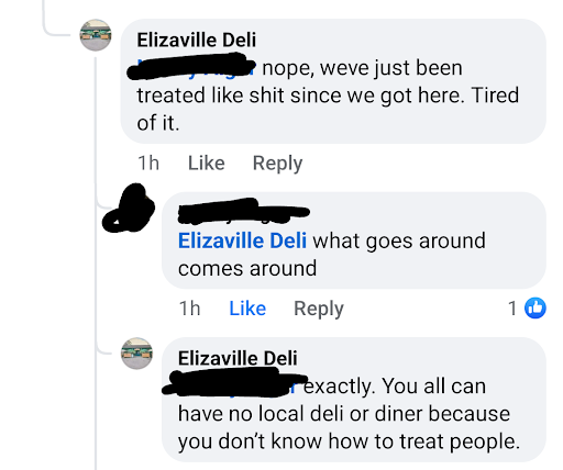 Elizaville Diner