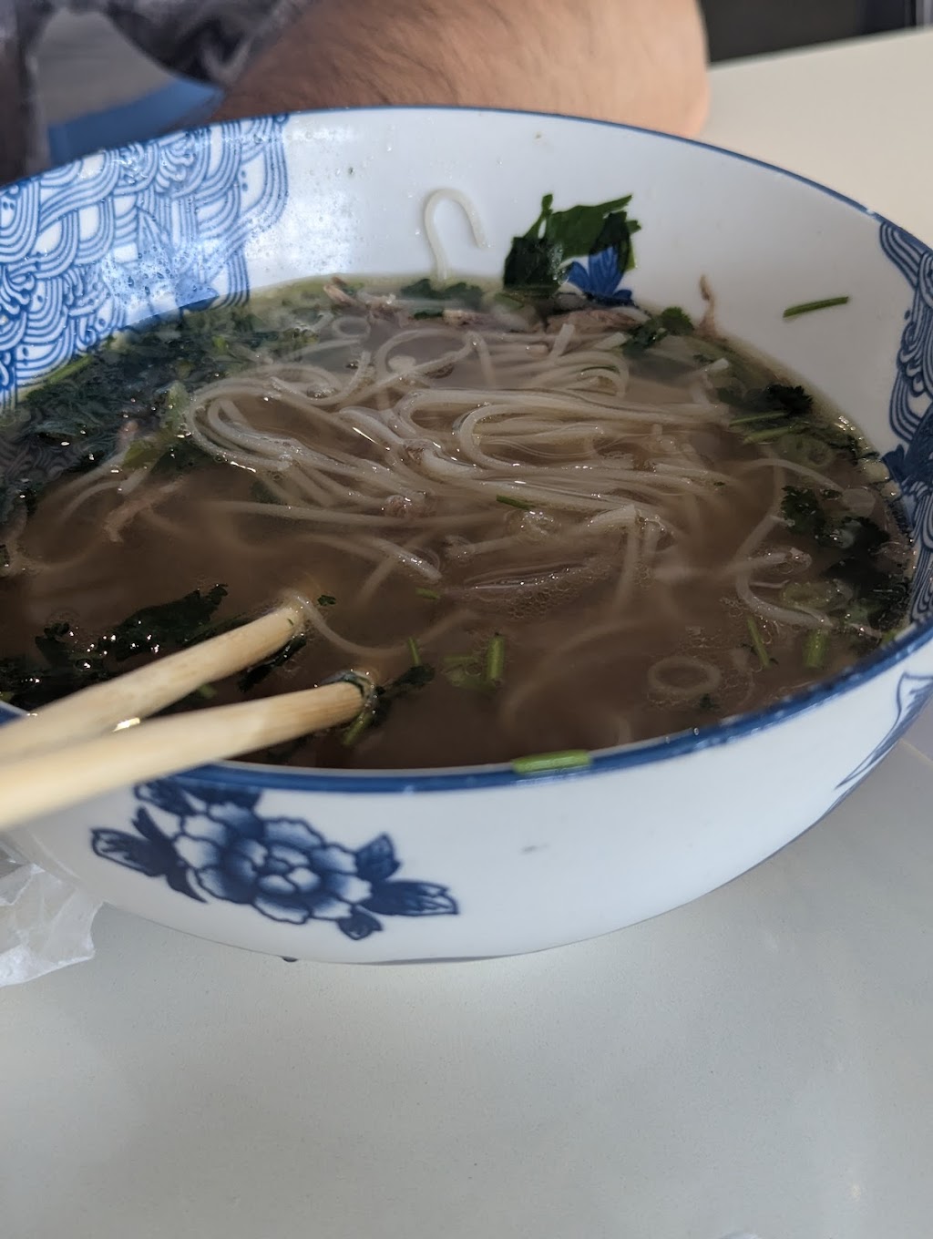 Pho Please