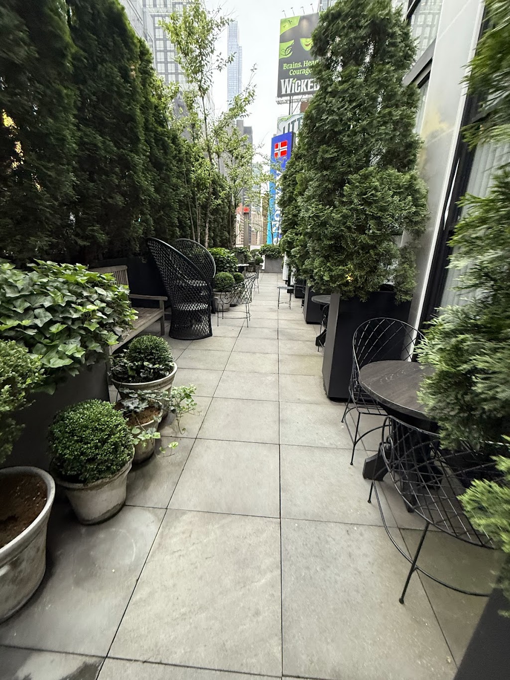 The Terrace