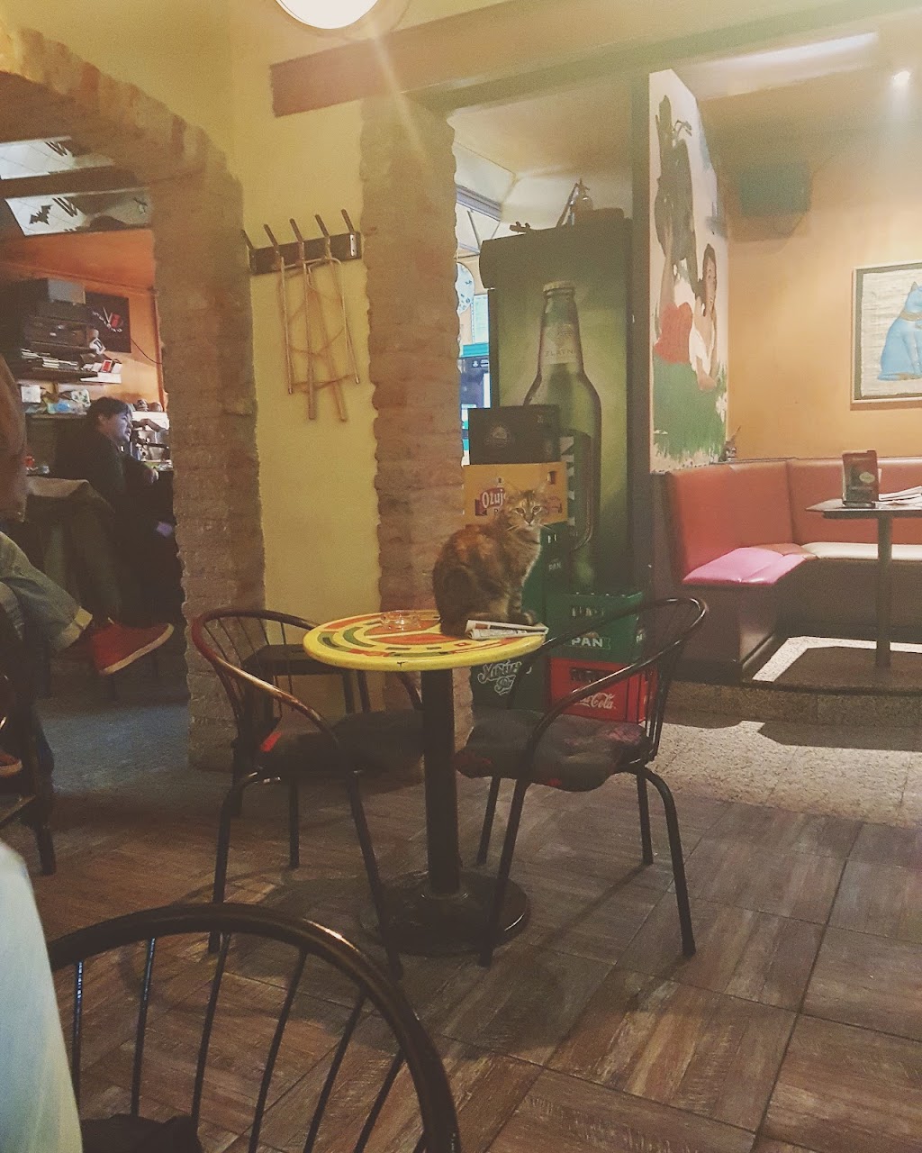 Bar Vespa 50