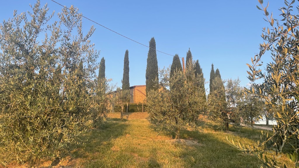 Agriturismo Bonello