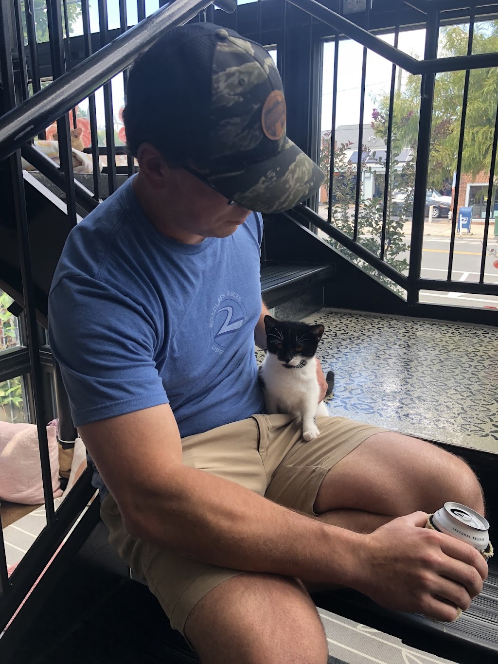 Cat Tales Cat Café