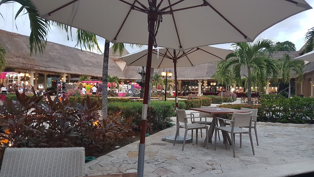Manatees Swim-Up Bar