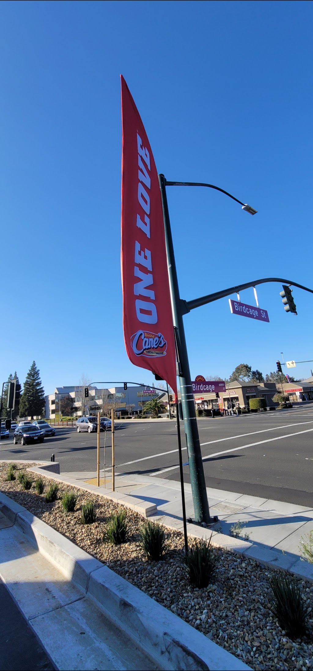 Raising Cane's