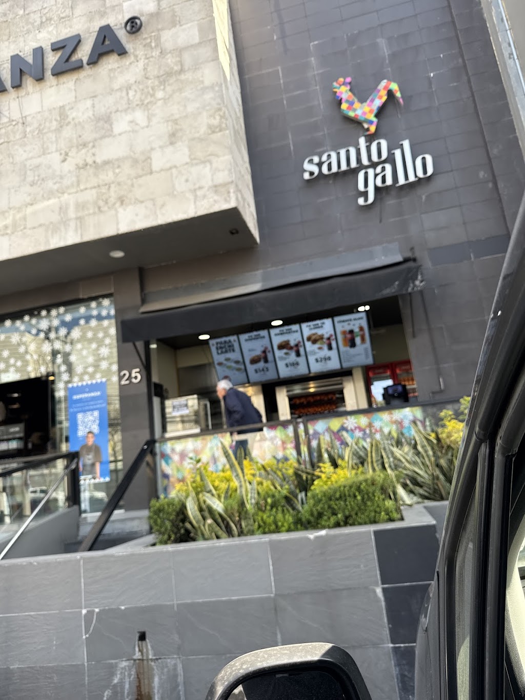 Santo Gallo