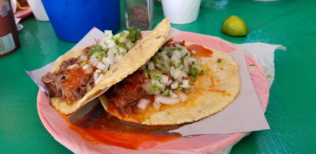Taqueria Los Alcatraces