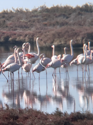 LaTancada