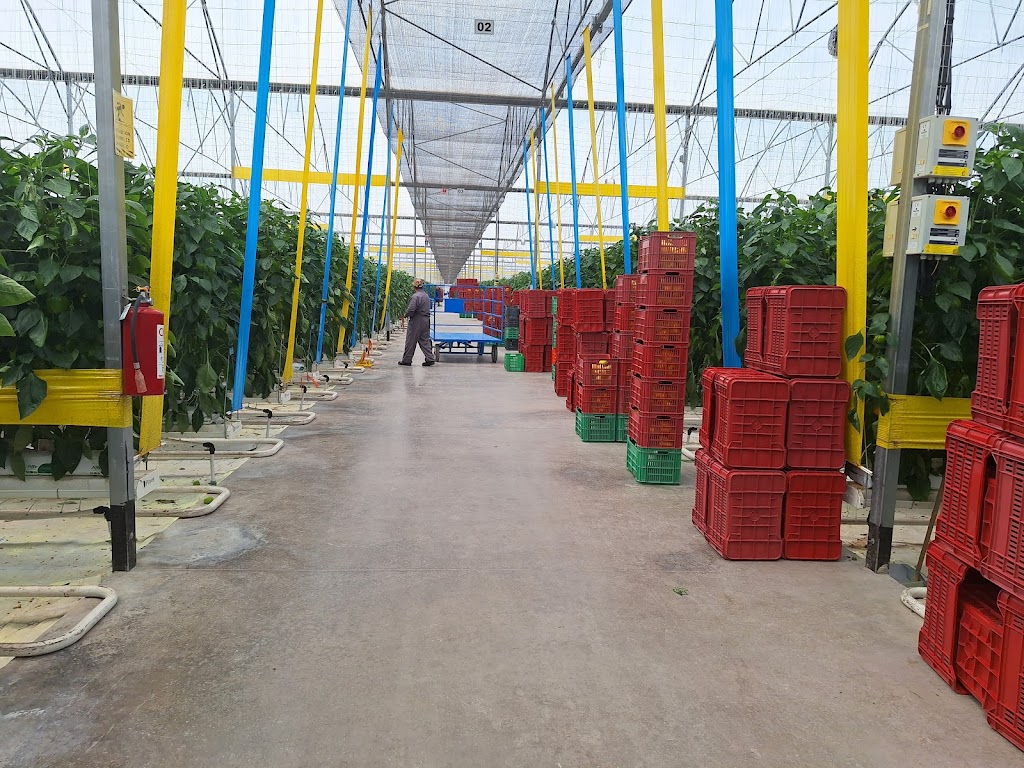 Cimarrón, San Luis Potosí, Mexico