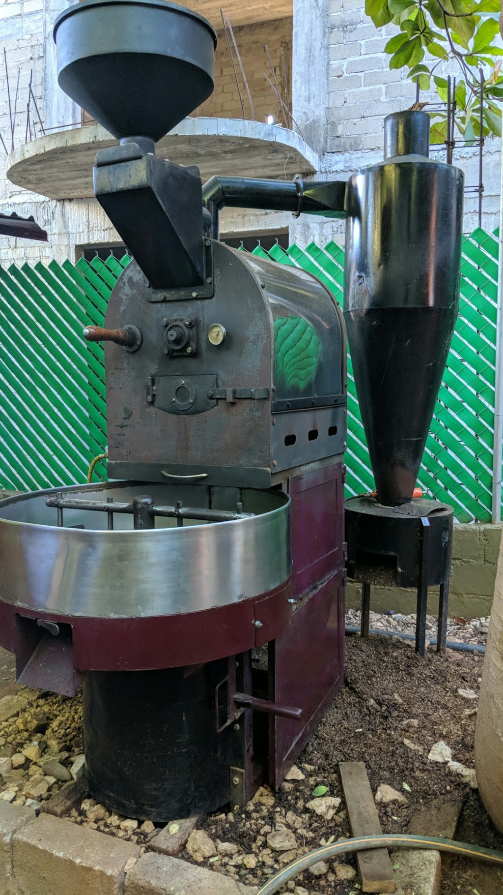 Café Binisa