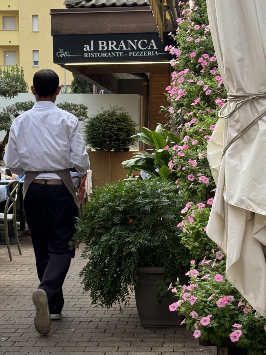 Al Branca