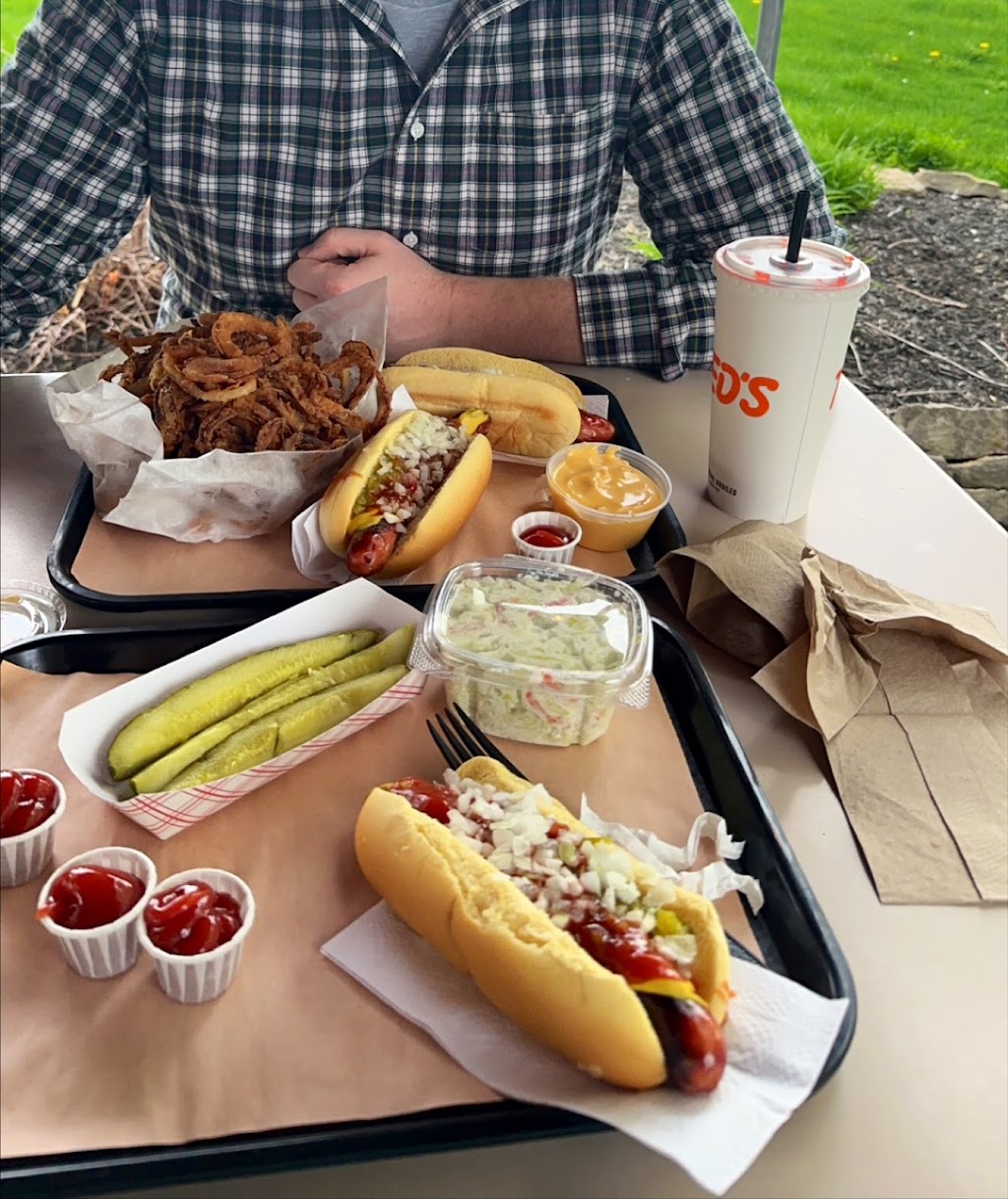 Ted's Hot Dogs, Depew, NY