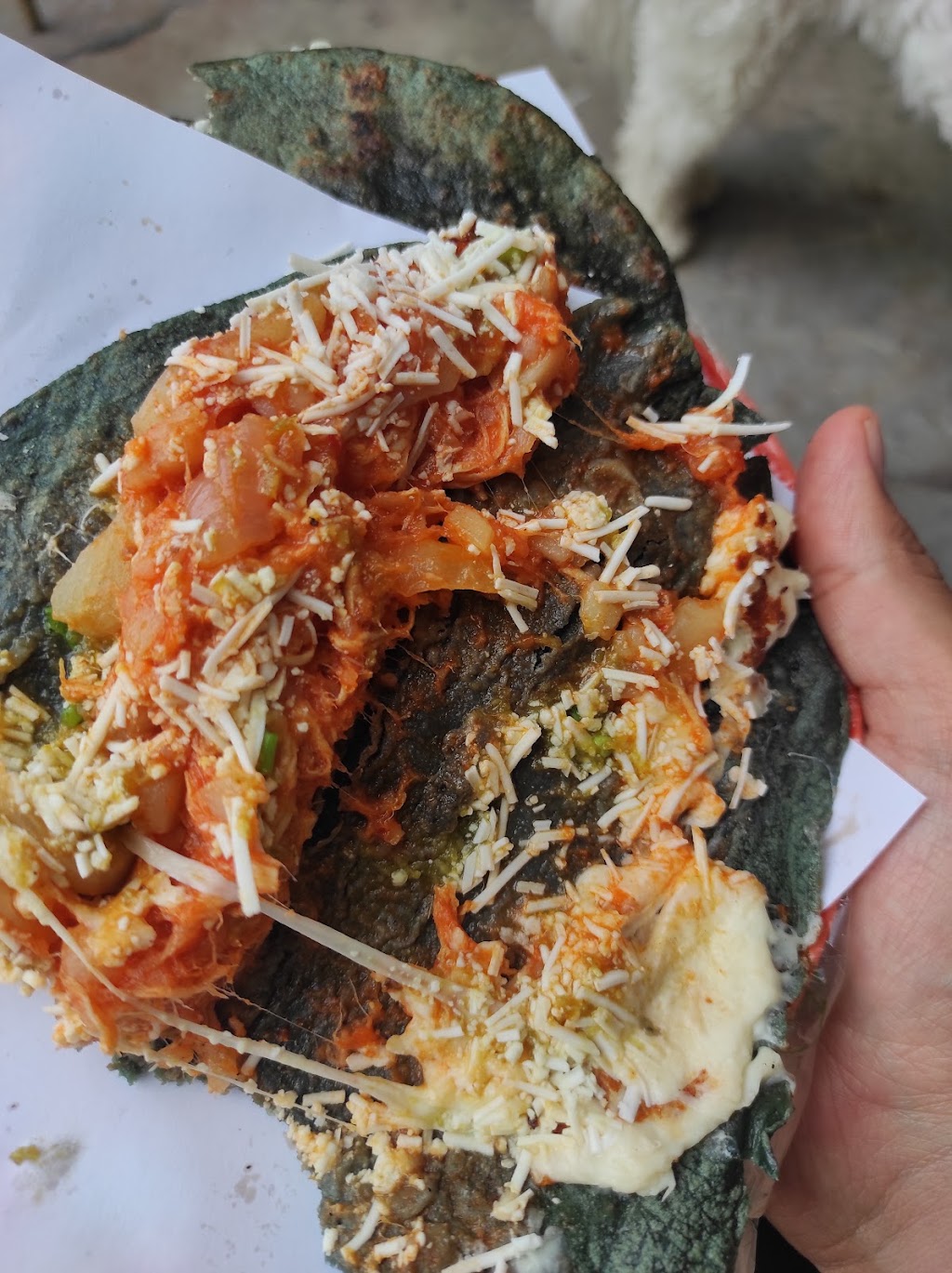 Quesadillas y Gorditas "Eli"