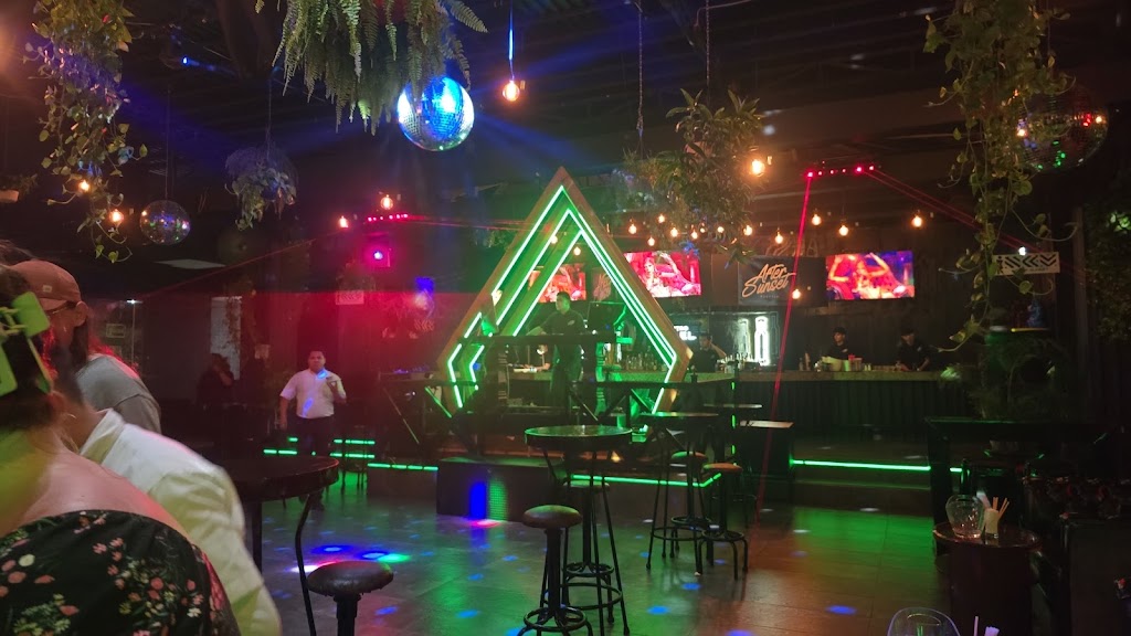 Senor Frogs