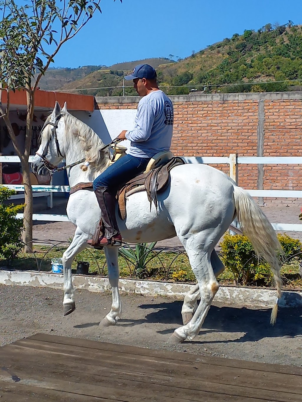 La Cruz, Xalisco