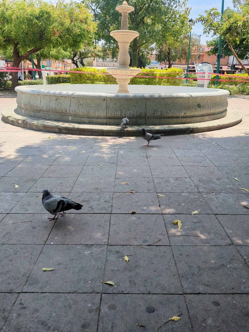 Galería