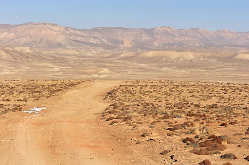 Bar de Las Chozas
