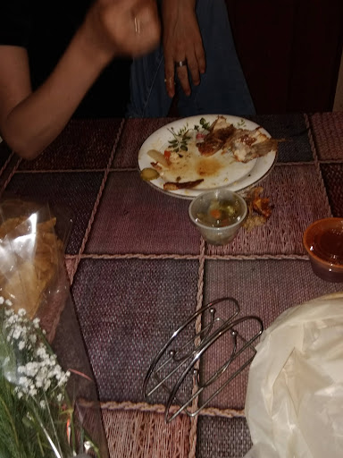 Pollos Noé