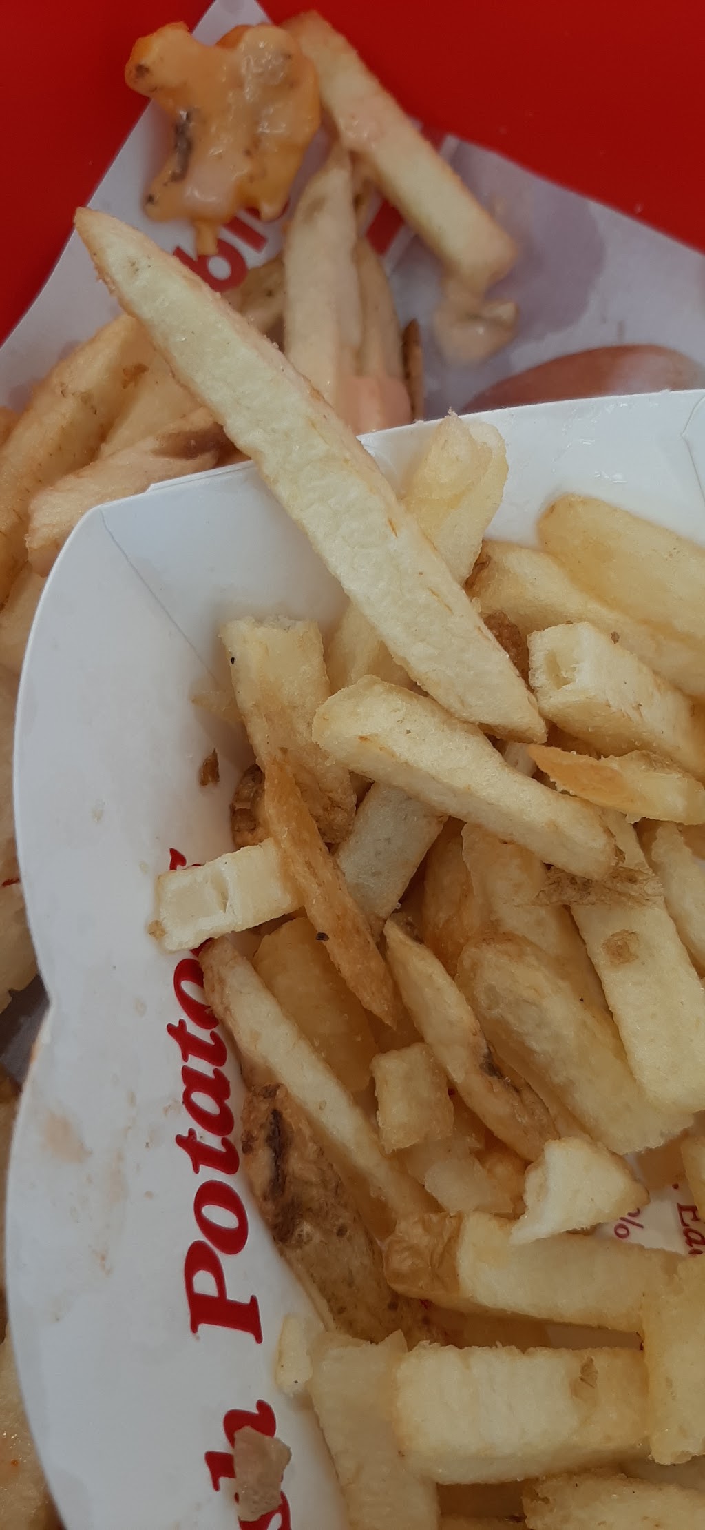 In-N-Out Burger, Escondido, CA