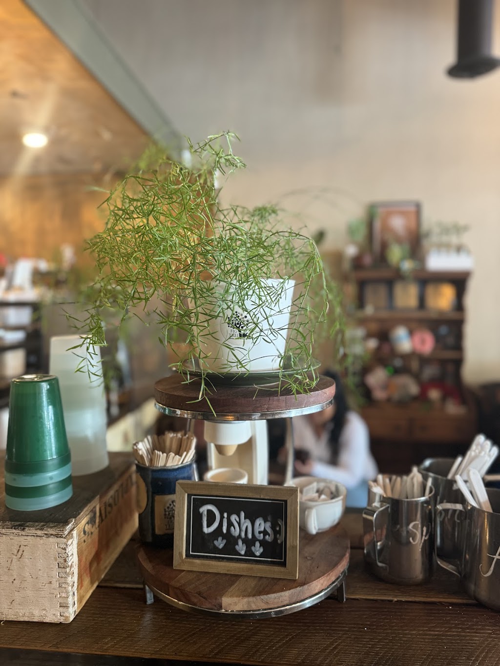 The Fig Tree Coffee