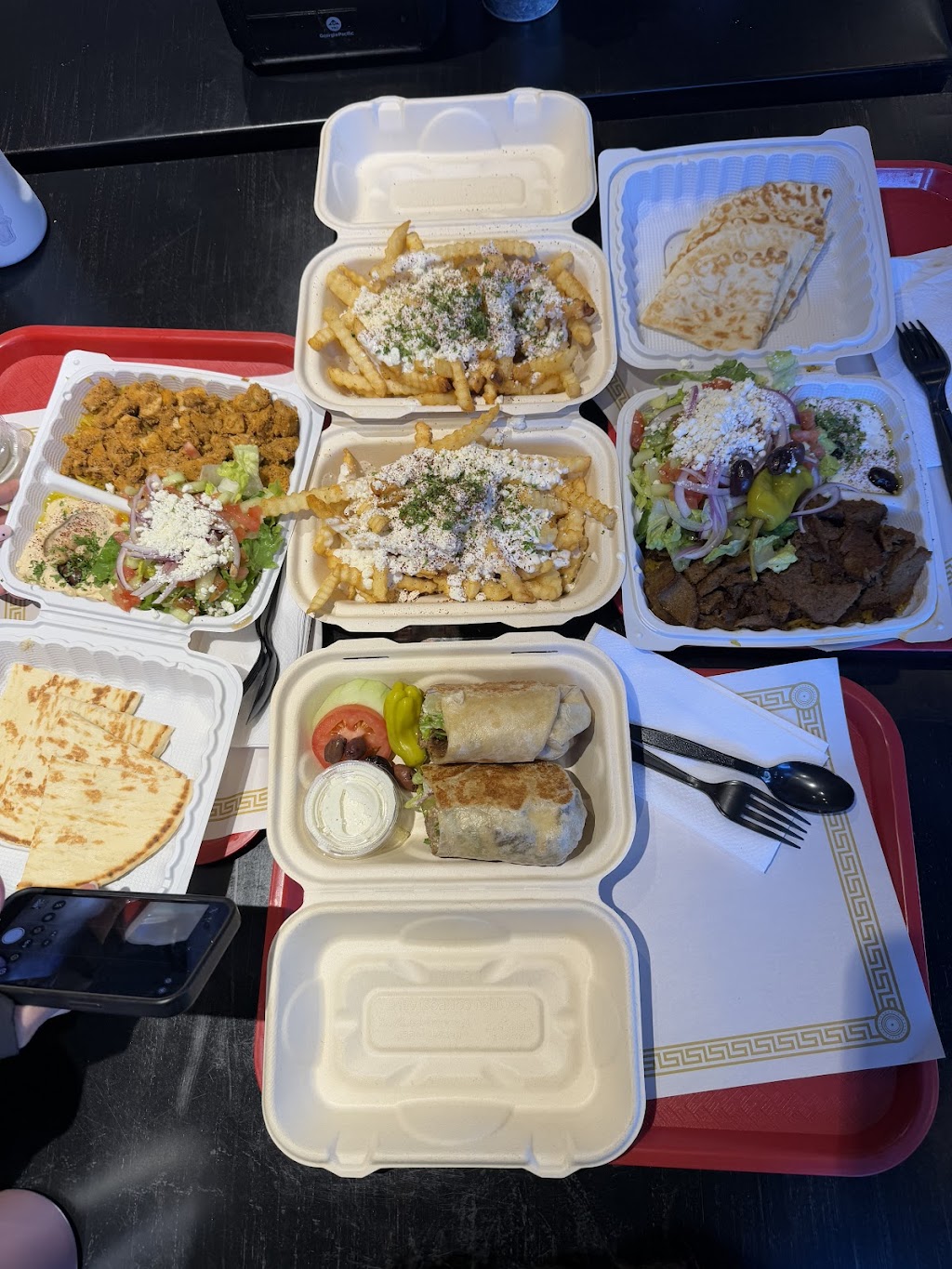 Safari Gyro