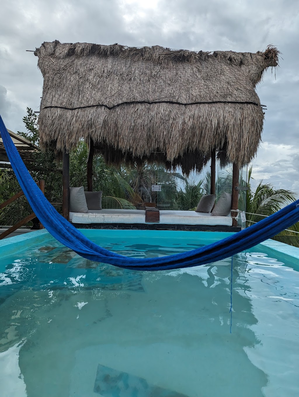 ALMA Beach club