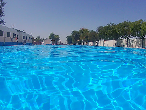 Bar Piscina, Marinaleda