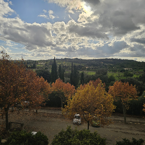 Ses Coves