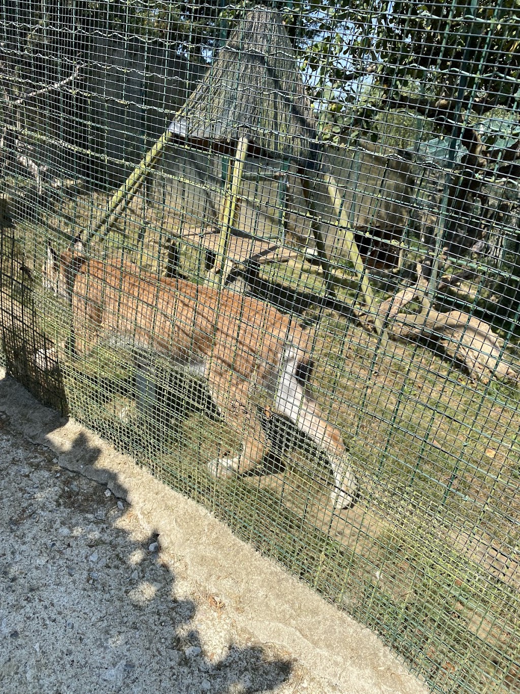 Zoo