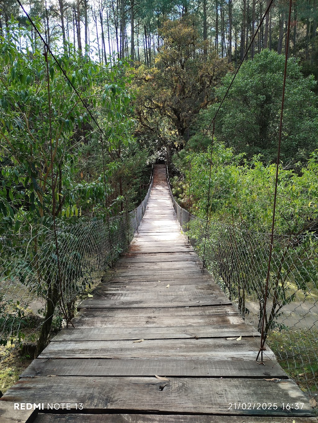 Los molinos