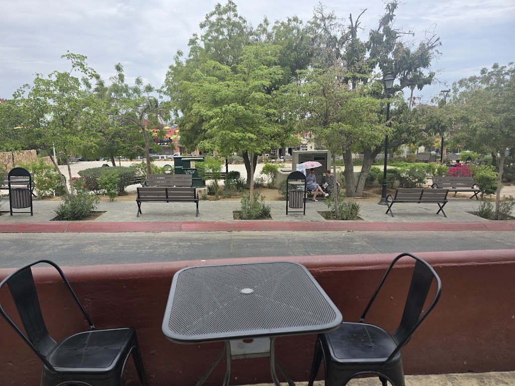 The Cabo Coffee Company